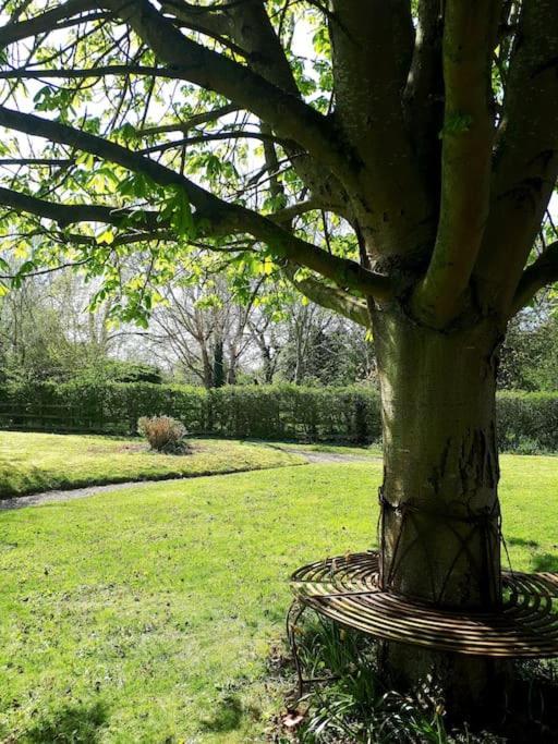Host & Stay - Clara Cottage Bretforton Buitenkant foto