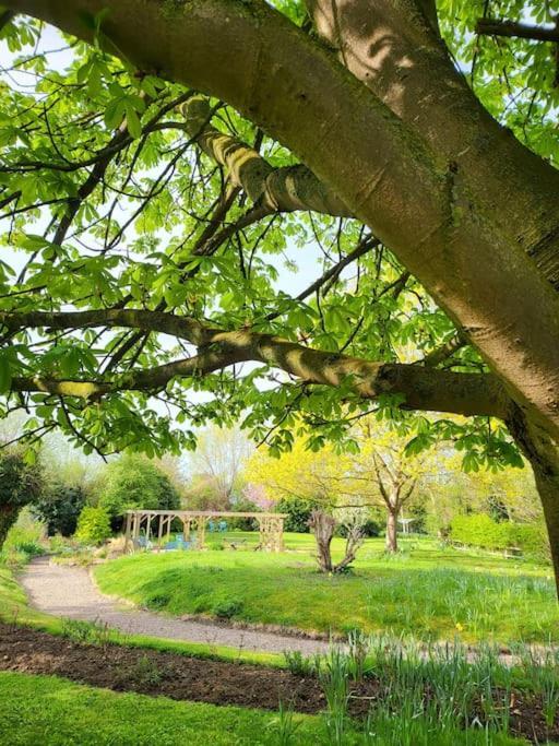 Host & Stay - Clara Cottage Bretforton Buitenkant foto